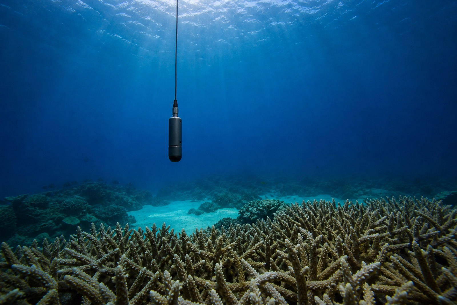 A hydrophone hanging in blue water above a living coral reef